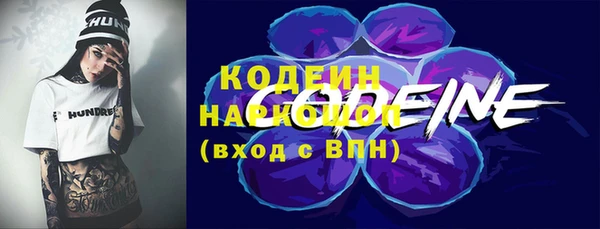 молекула духа Белоозёрский