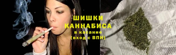прущие грибы Беломорск
