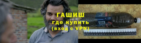 прущие грибы Беломорск