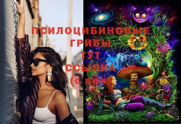 молекула духа Белоозёрский