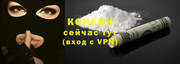 молекула духа Белокуриха