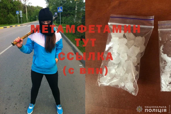 прущие грибы Беломорск