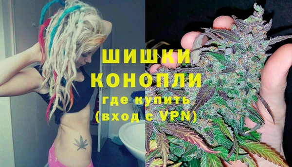 прущие грибы Беломорск