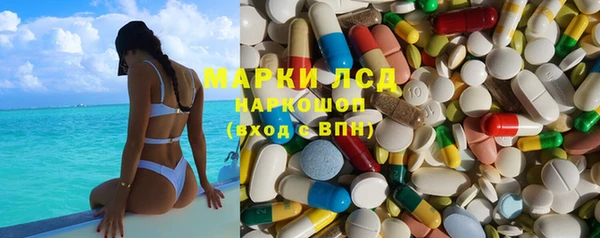 прущие грибы Беломорск