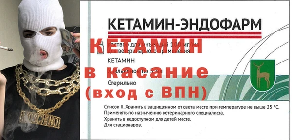 прущие грибы Беломорск