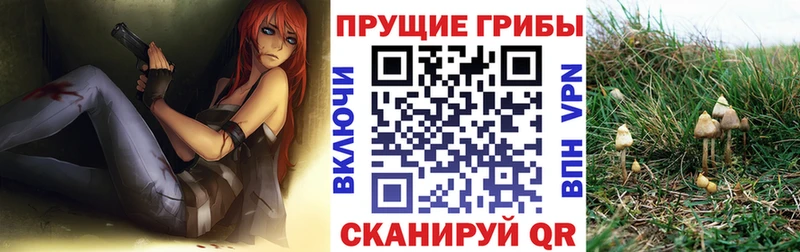 Псилоцибиновые грибы Psilocybe  Жирновск 